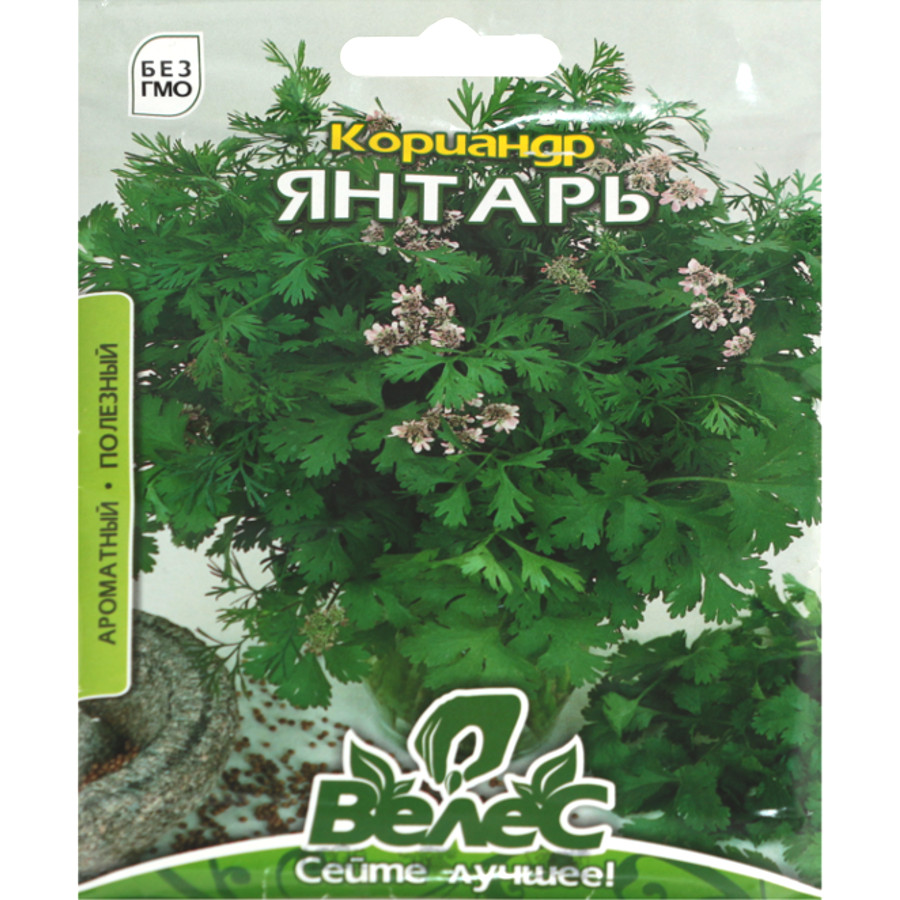 Насіння Велес Коріандр 20 г Максі Янтар фото