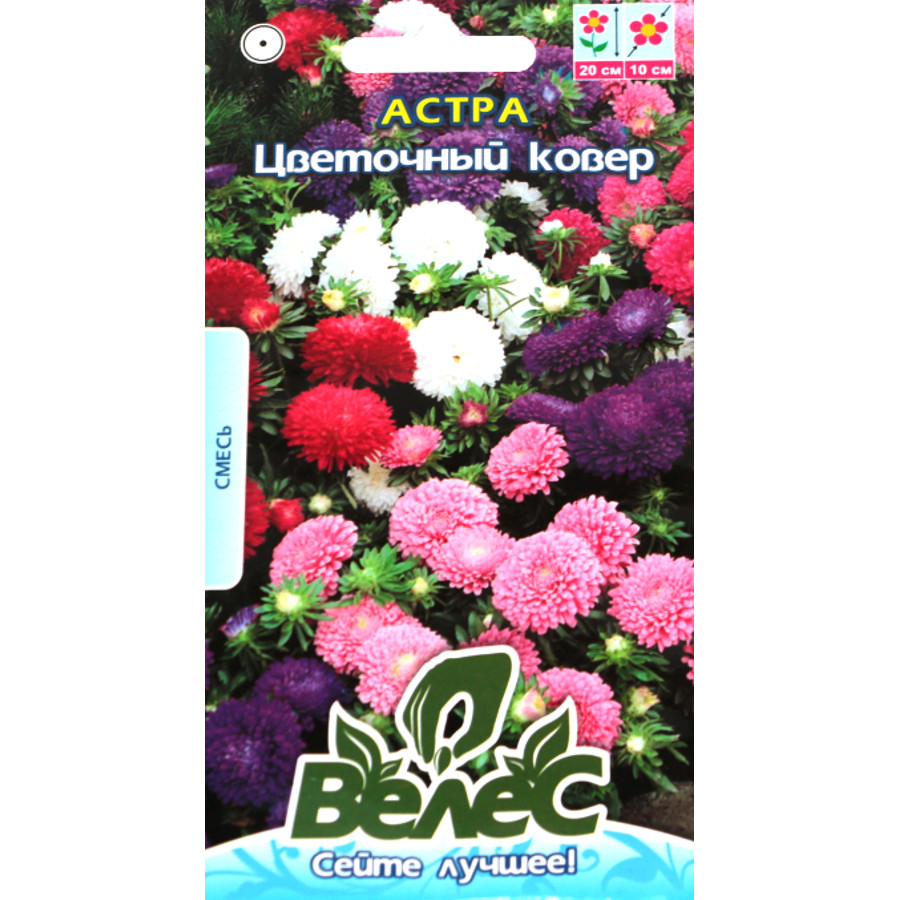Насіння Велес Айстра 0,3 г Квітковий килим фото
