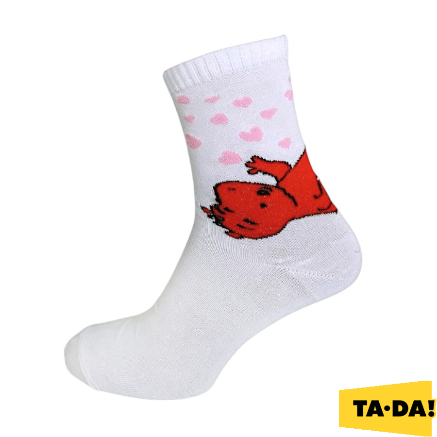Шкарпетки жіночі TA-DA! демісезонні 23-25 білі фото